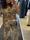 Blusa animal print Dixie - Imagen 1