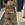 Falda larga vuelo animal print Dixie - Imagen 1