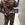 Jogger animal print terciopelo Phard - Imagen 2