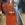 Vestido coral print corales Lez a Lez - Imagen 2